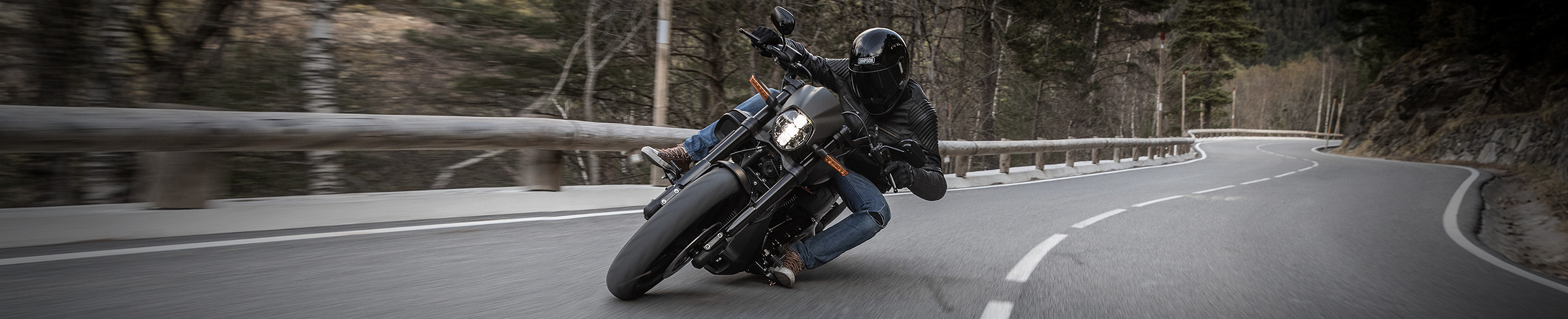 New Harley-Davidson Softail Low Rider ST Cruiser Motorcycle For Sale Near Dothan, Florida