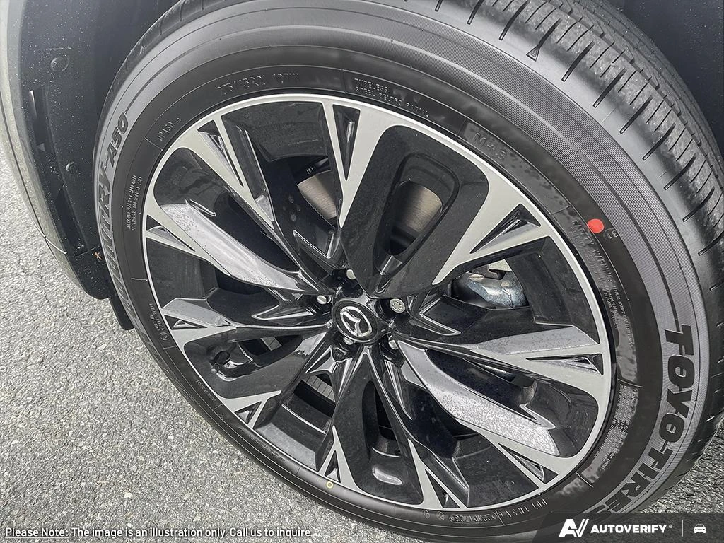 image-6