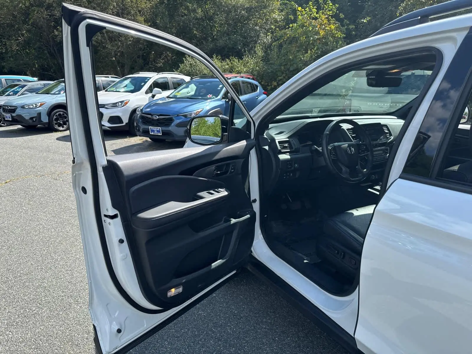 2023 Honda Passport Elite photo 10