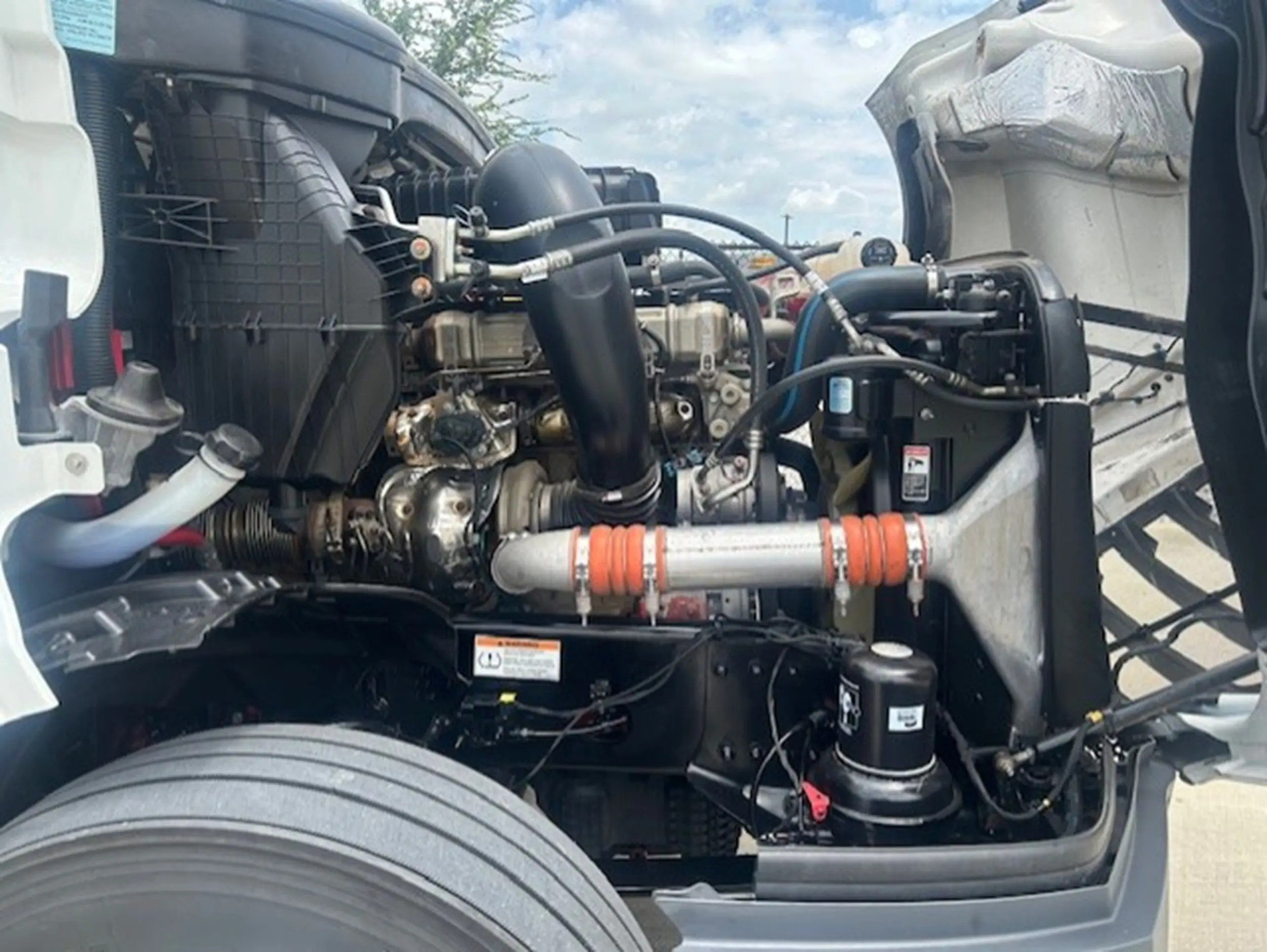 image-11