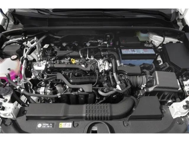 image-14