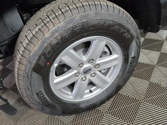 image-7