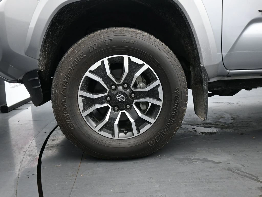 image-11