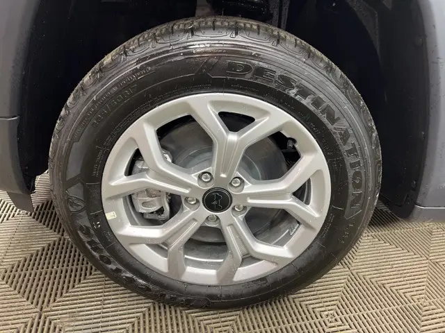 image-7