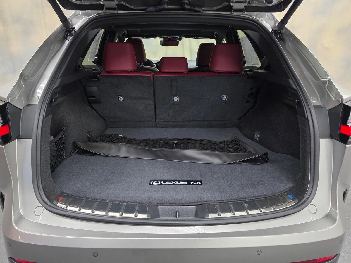 2025 Lexus NX 350 - Photo 9