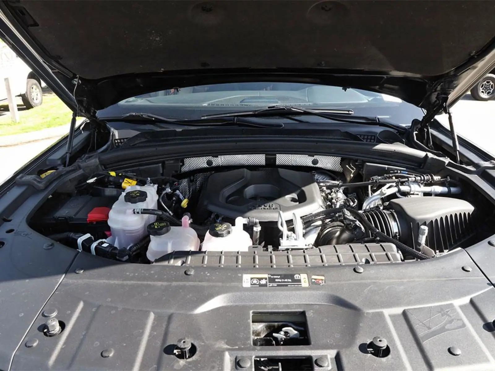image-7