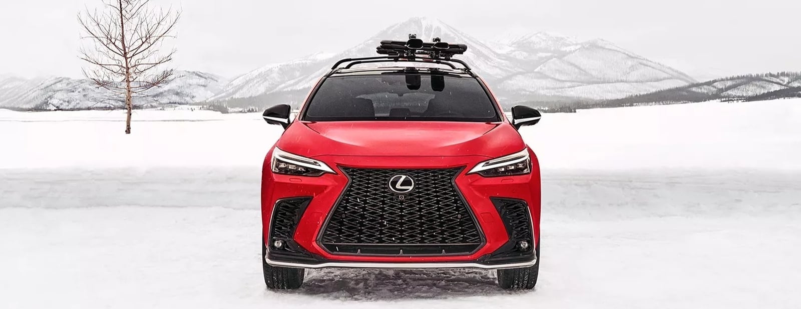 2026 Lexus NX 350h for Sale near Columbia, SC