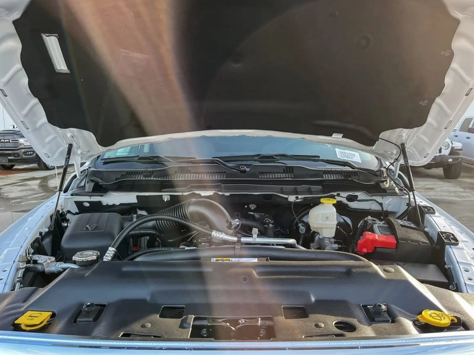 image-9