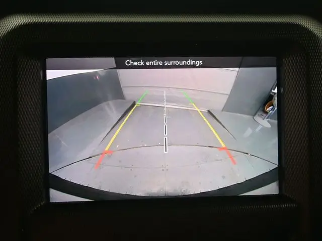 image-19
