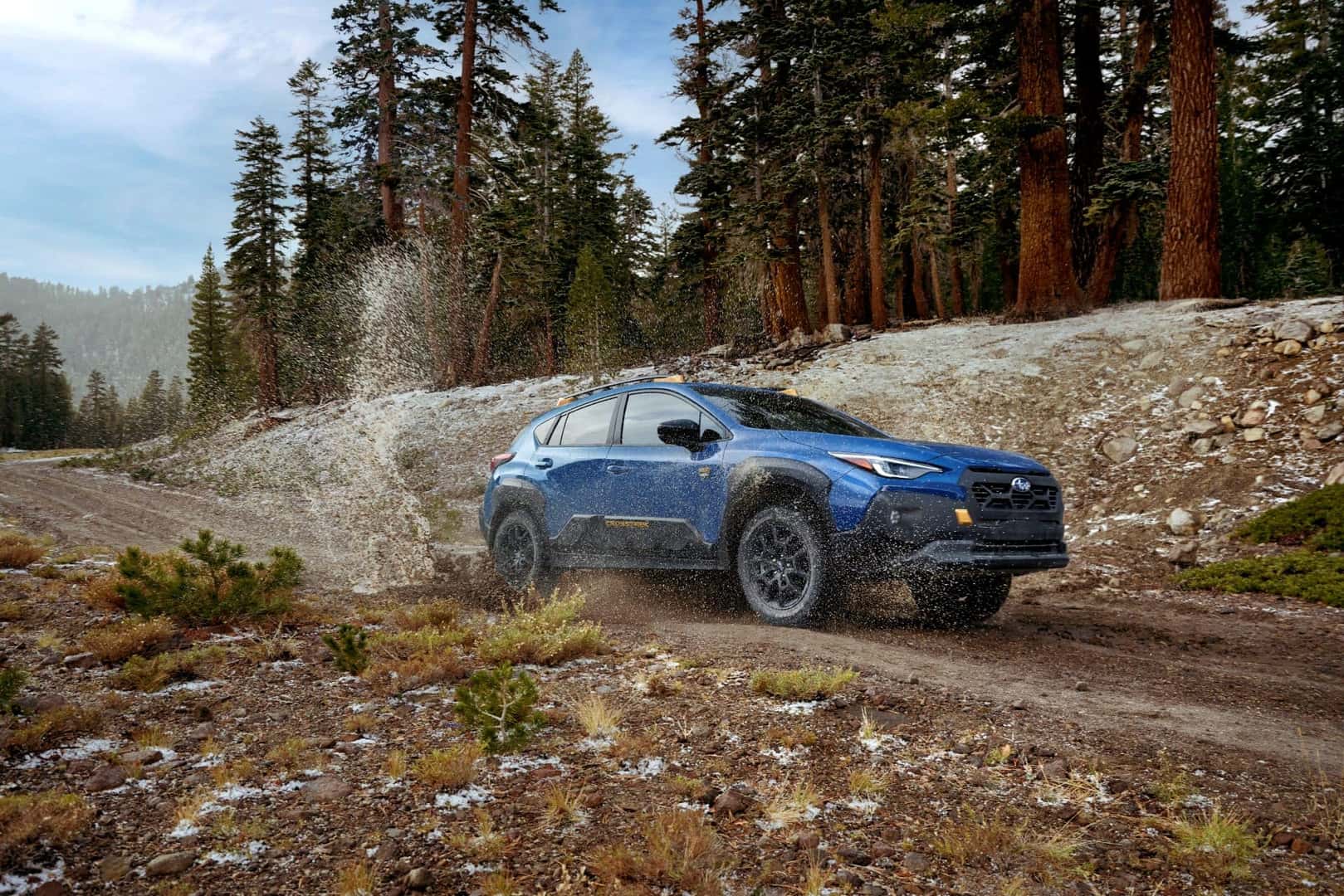 Subaru Crosstrek Wilderness detail
