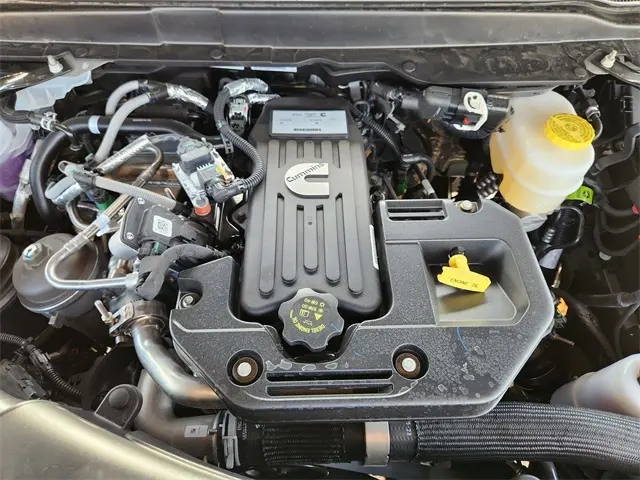 image-19