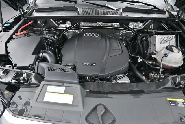 image-19