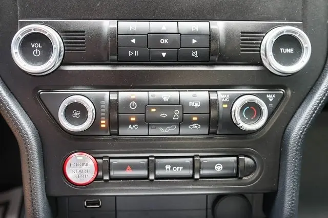 image-19