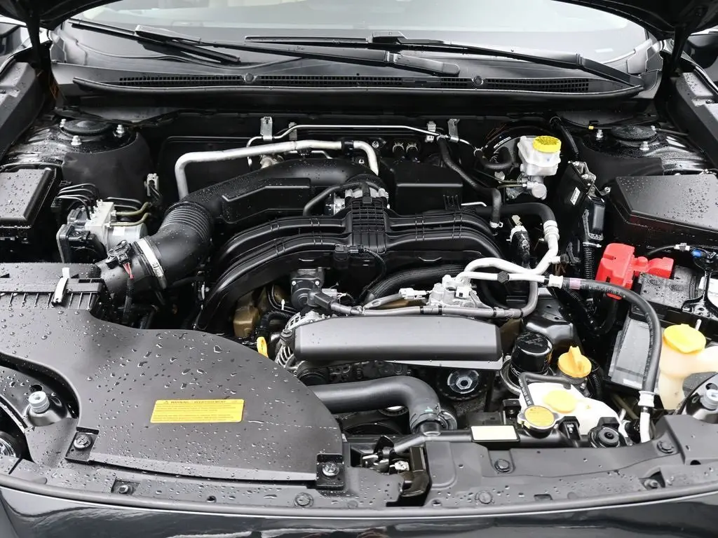 image-19