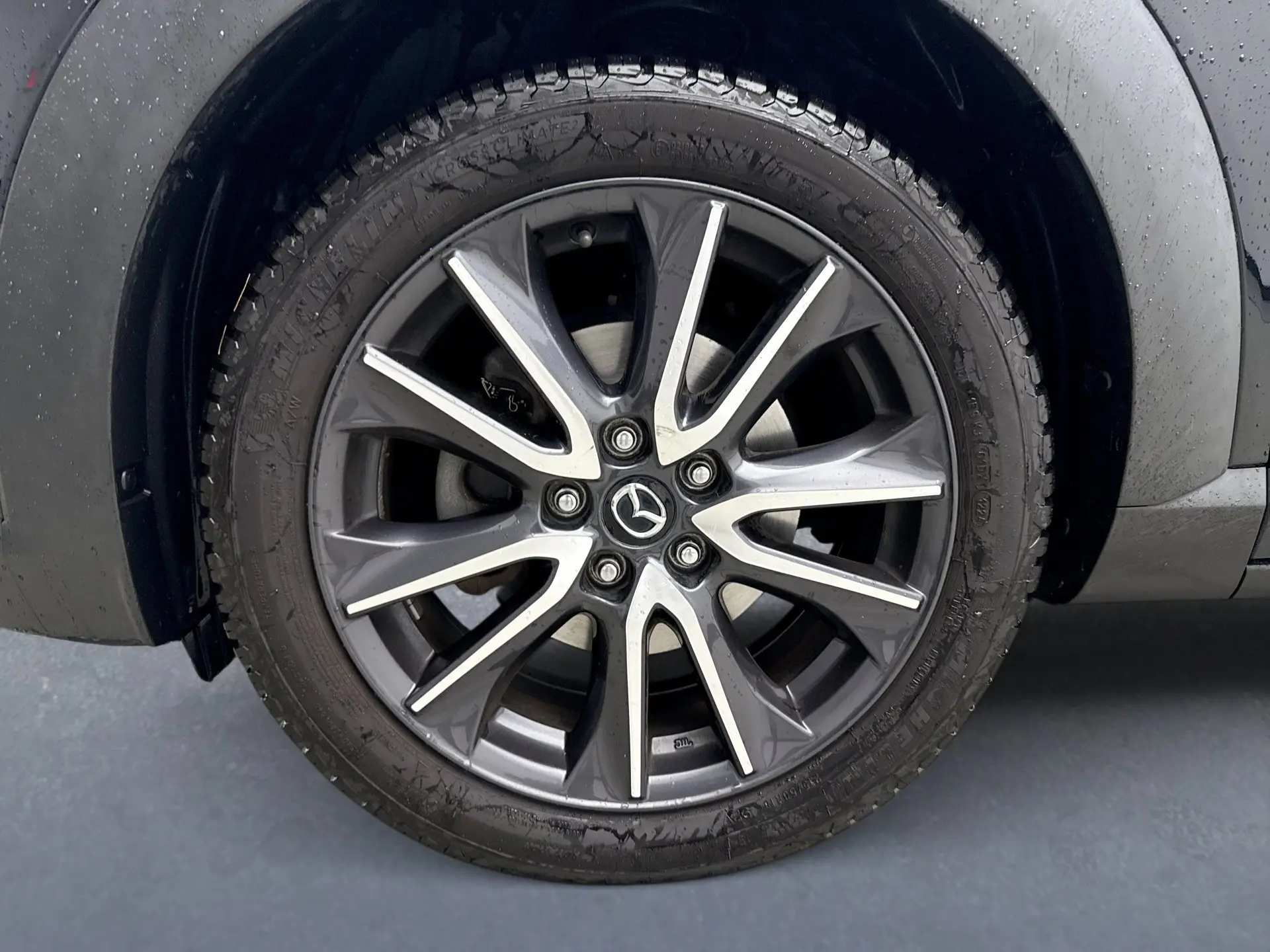 image-10
