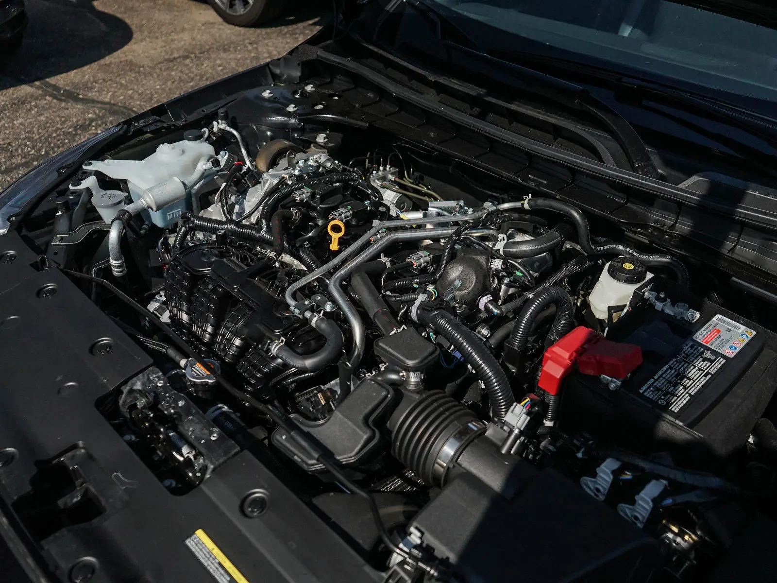 image-6