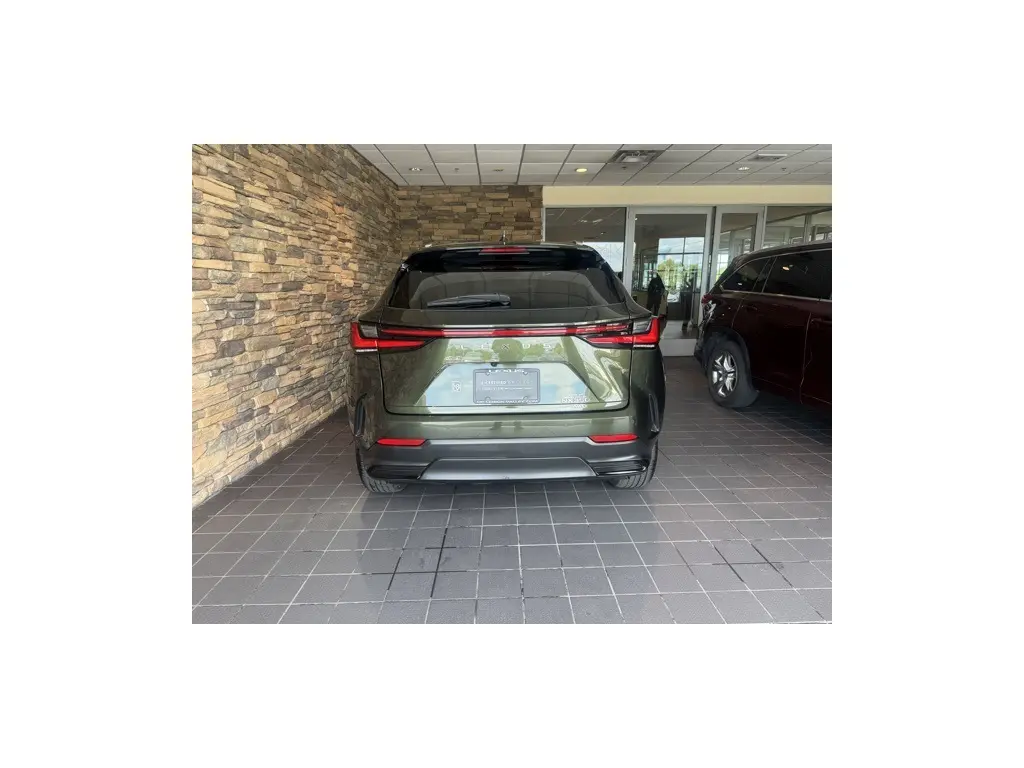 image-10