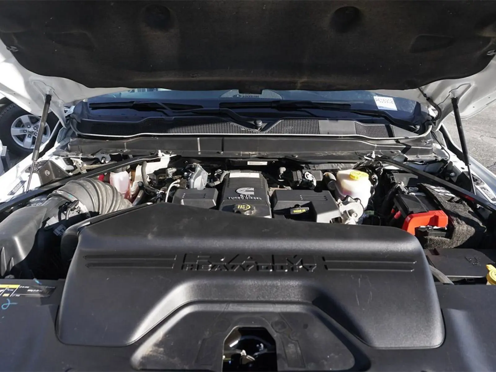 image-5