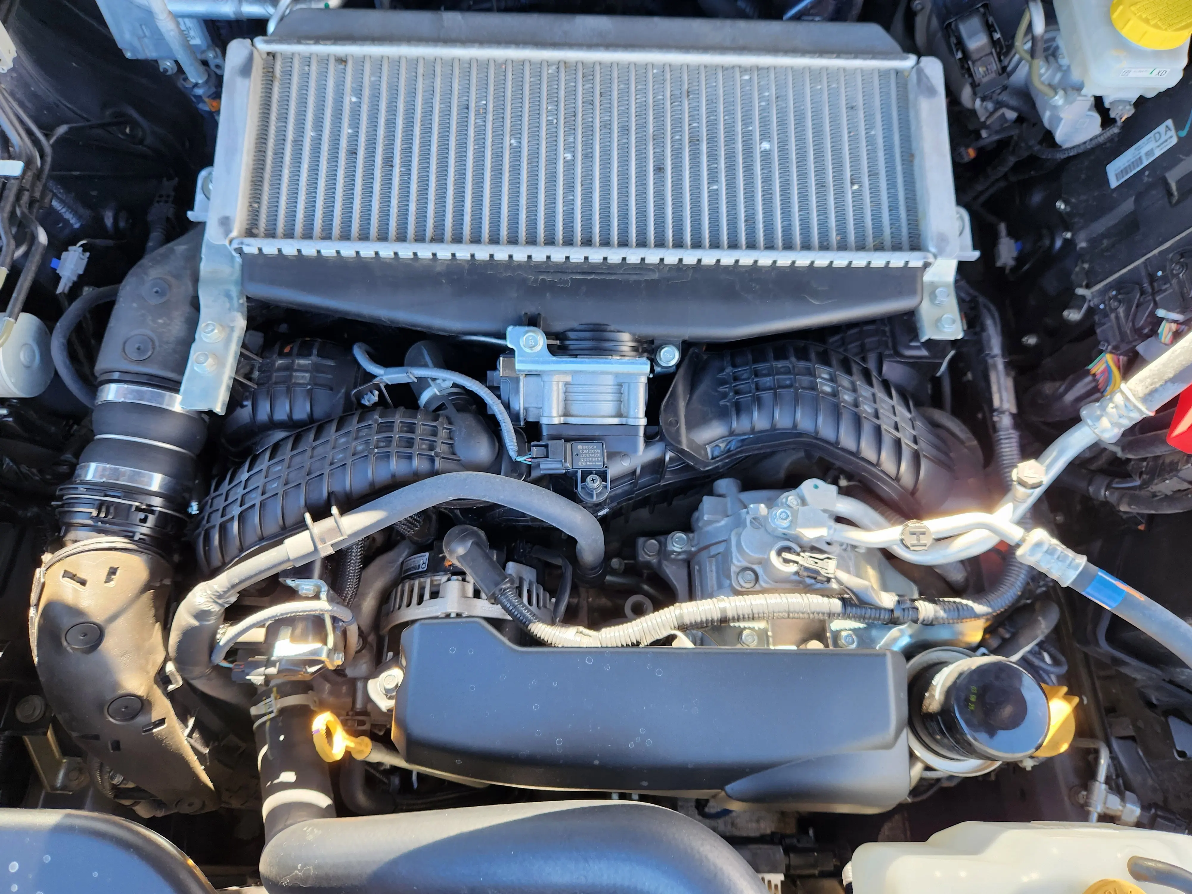 image-15