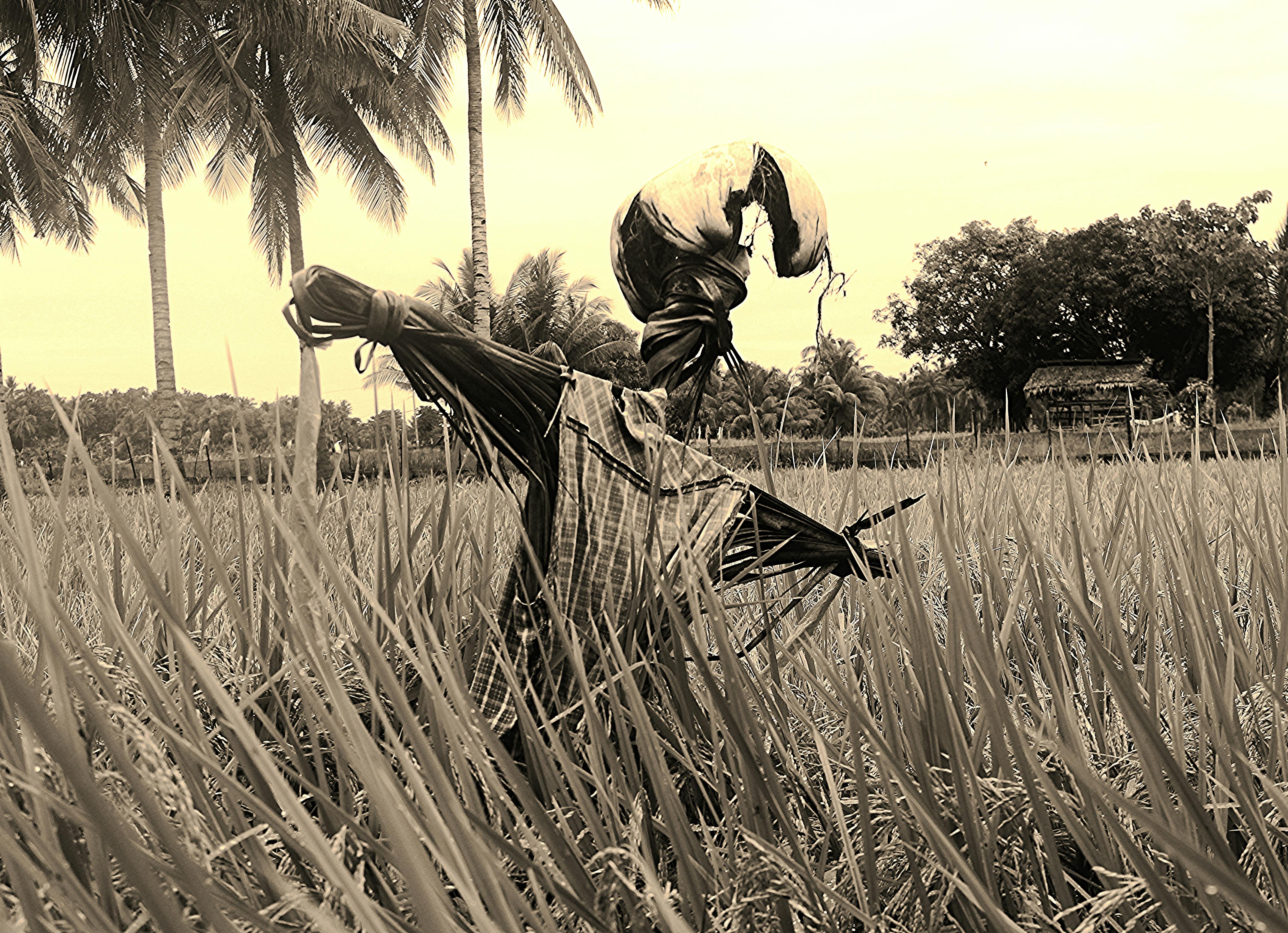Mechanic inspecting disc brakes on a heavy-duty truck