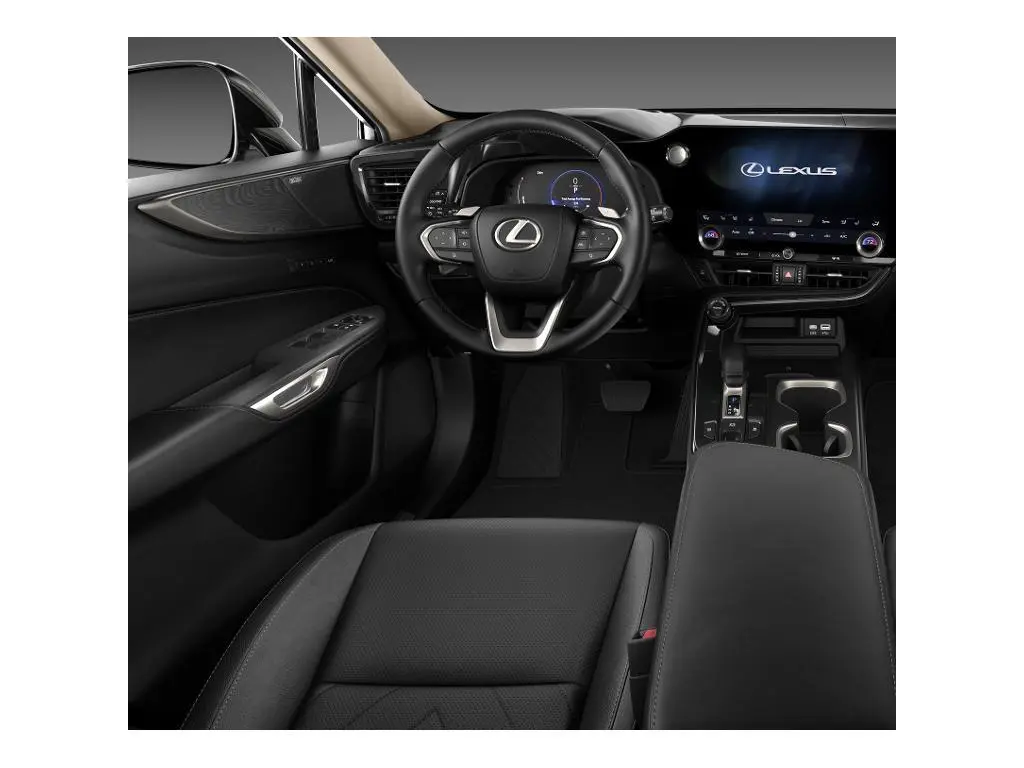 image-12