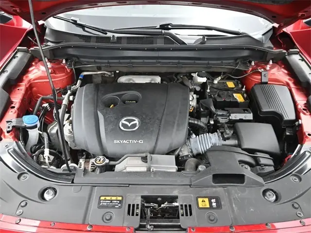 image-15