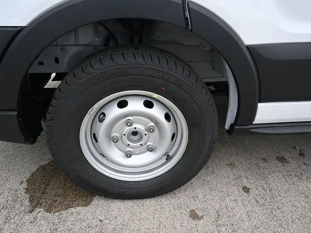 image-19