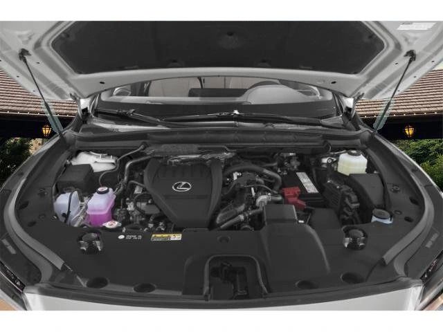 image-14