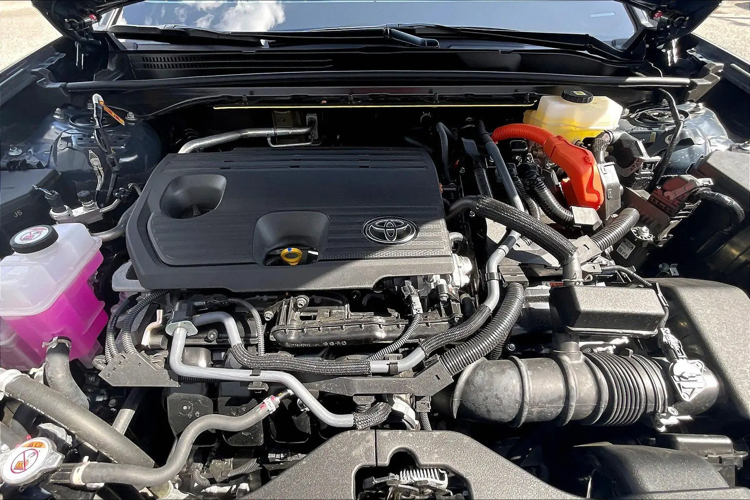 image-12