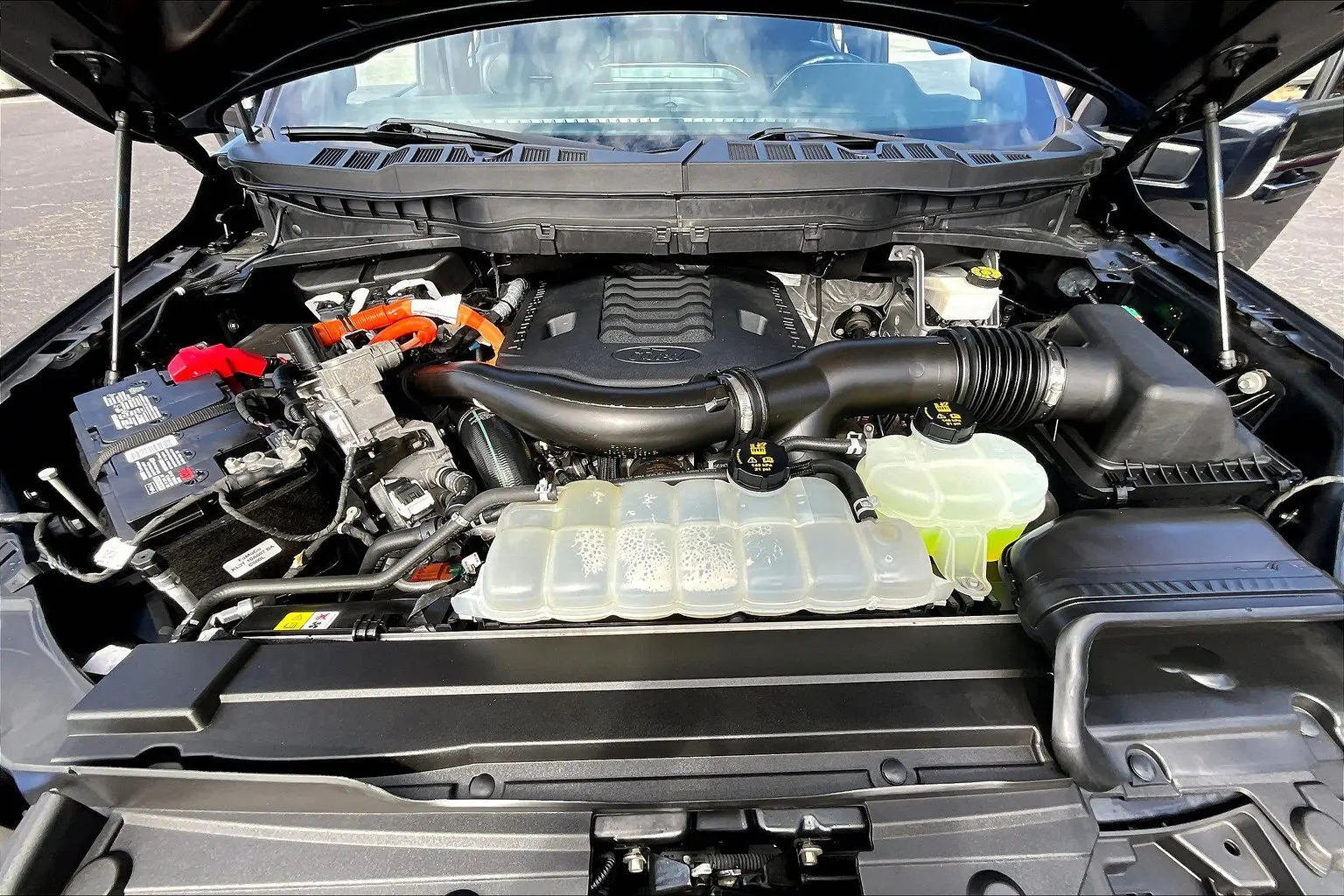 image-8