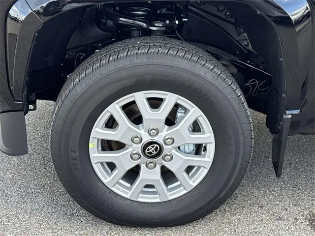 image-19