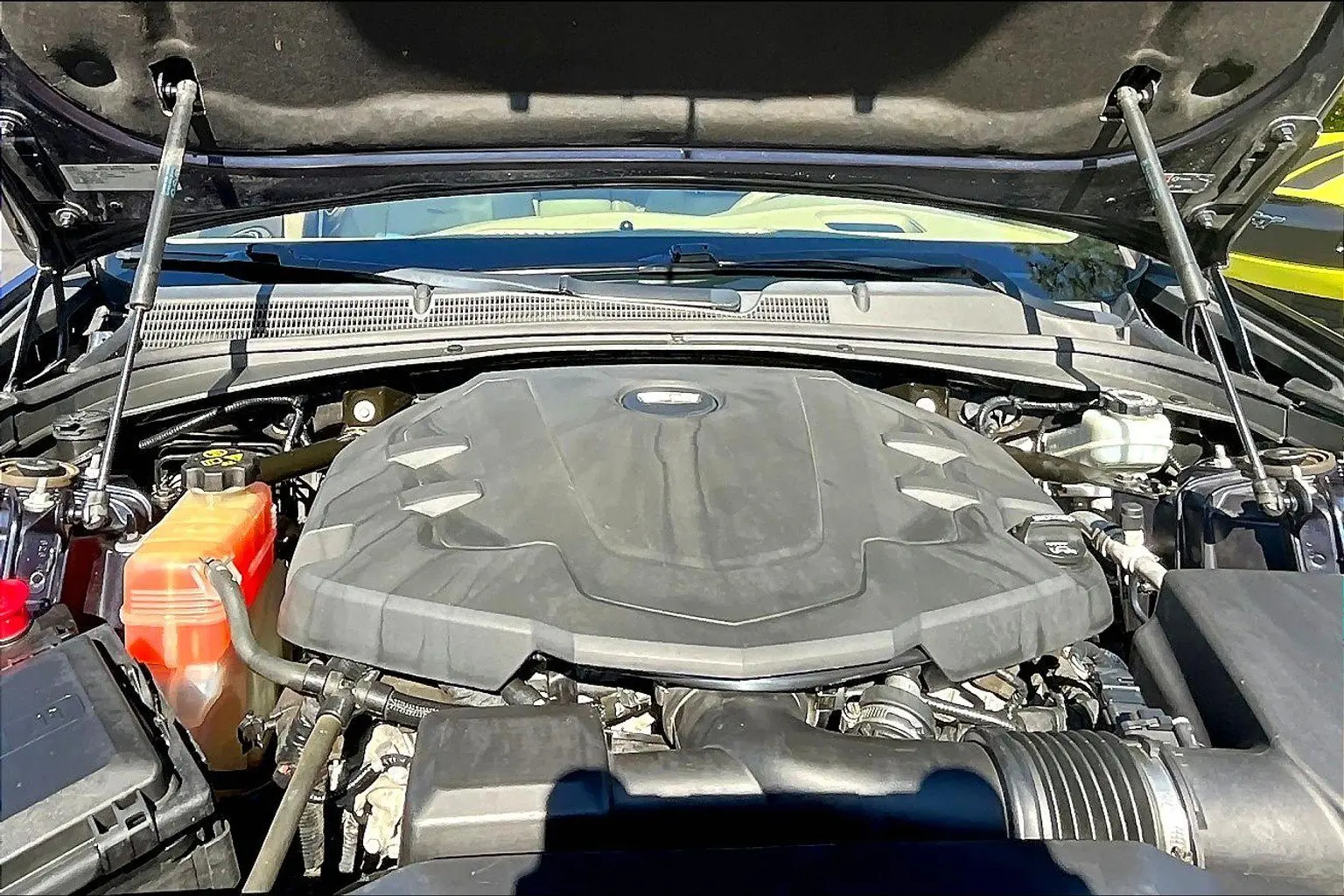 image-7