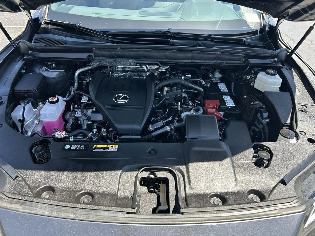 image-13