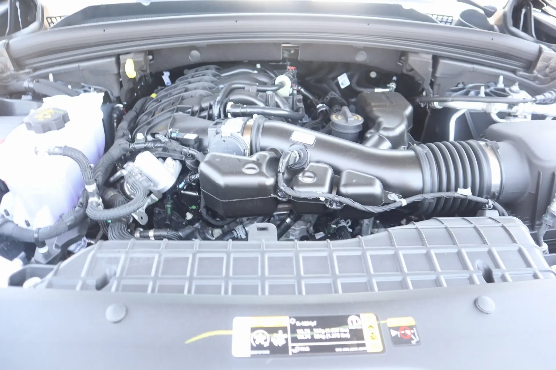 image-19