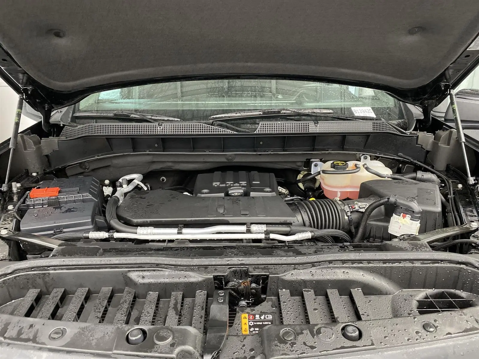 image-7