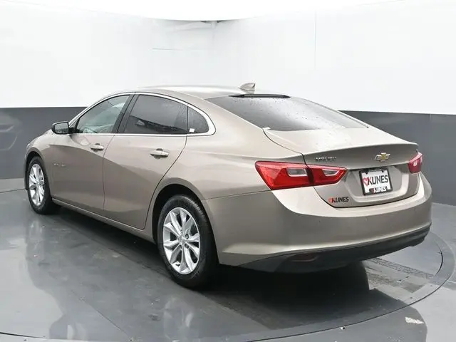 image-7
