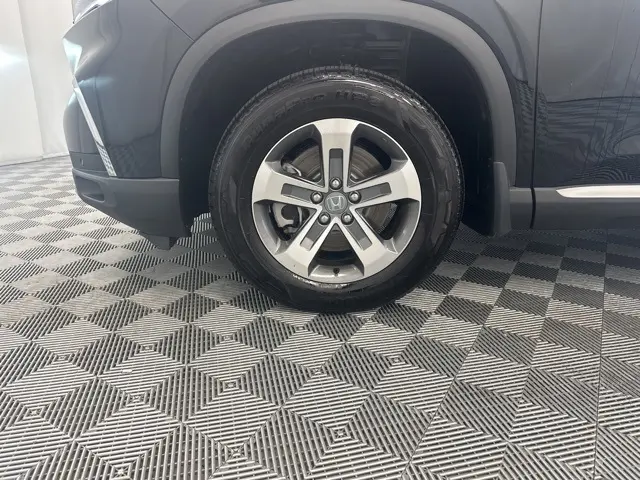 image-11