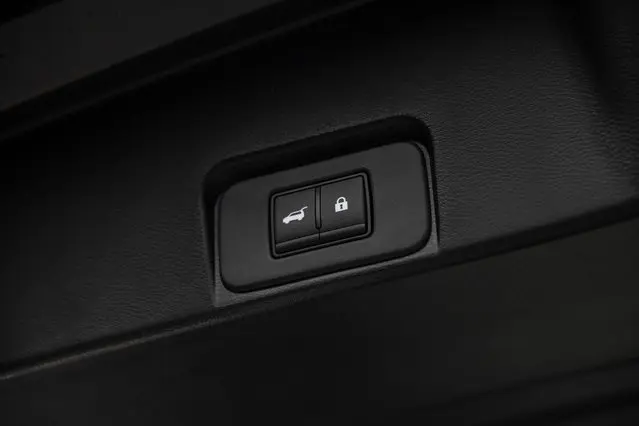 image-19