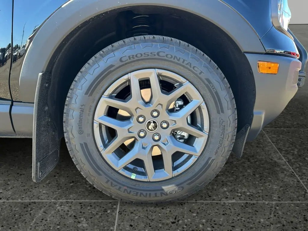 image-8
