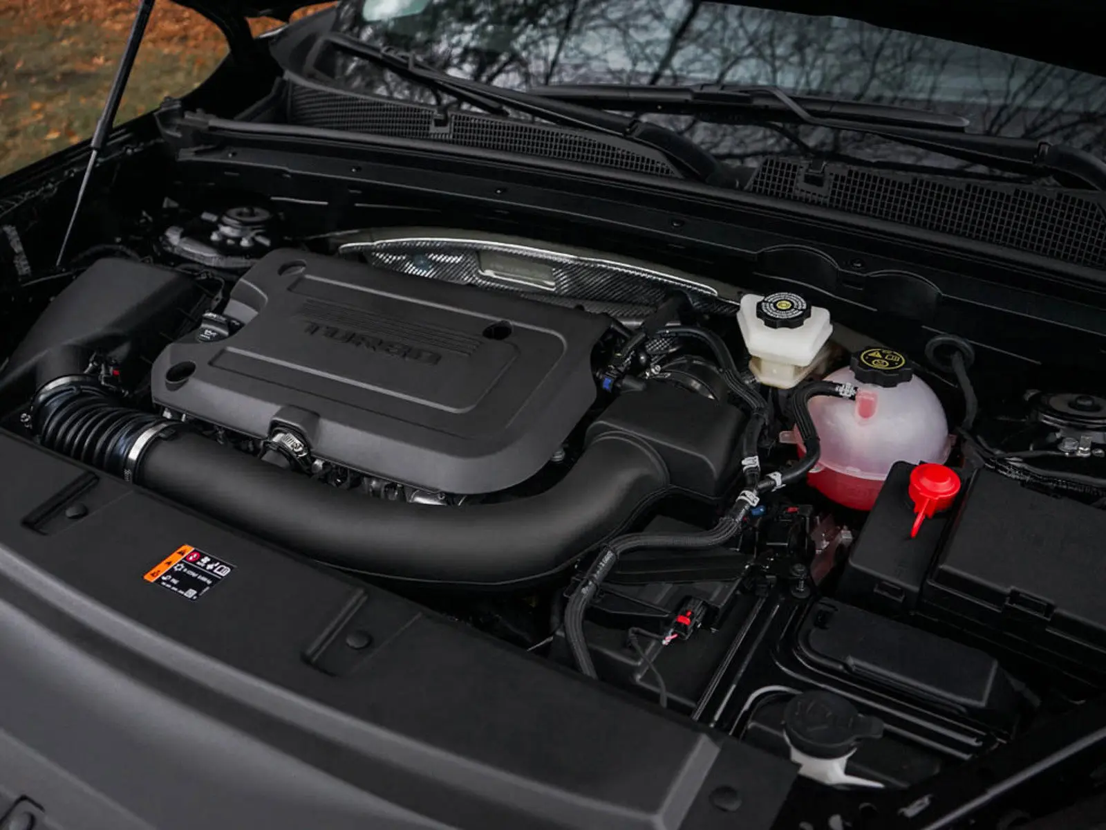 image-5