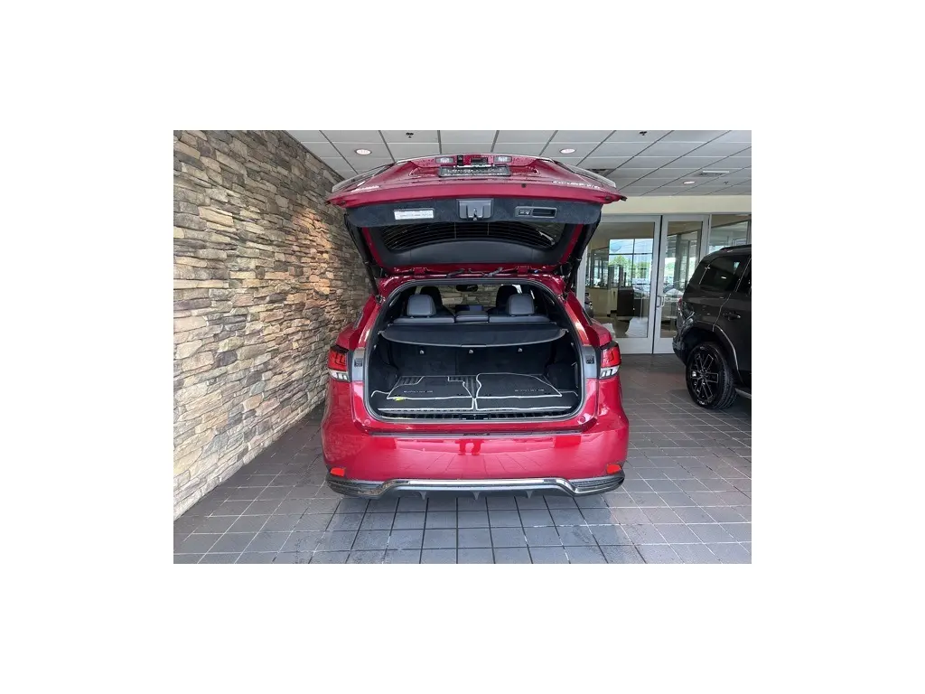 image-11