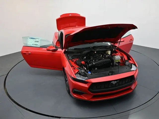 image-37