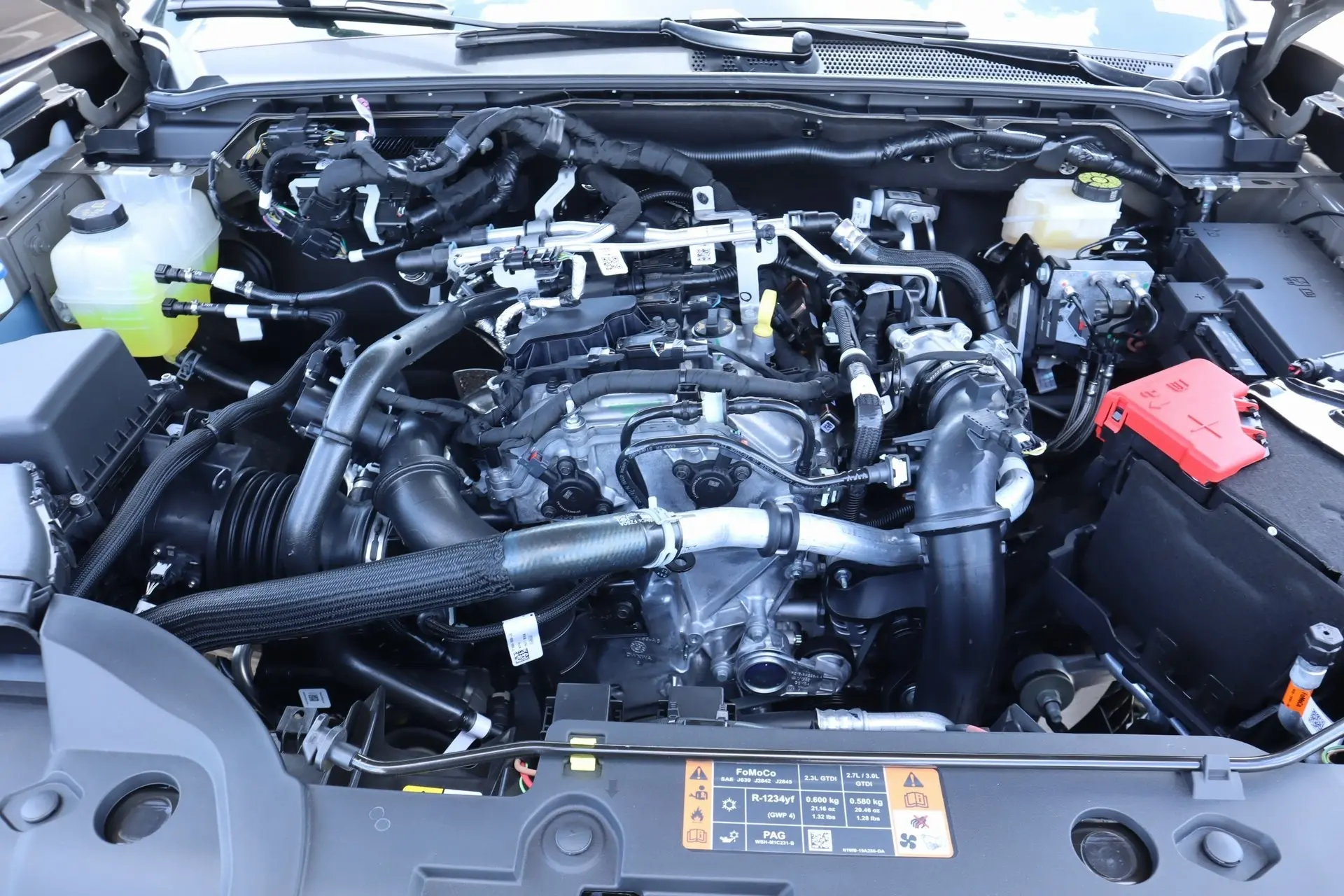 image-19