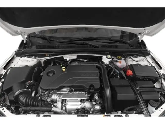 image-14