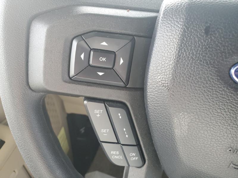 Minnie Winnie/31K/2025 image-13