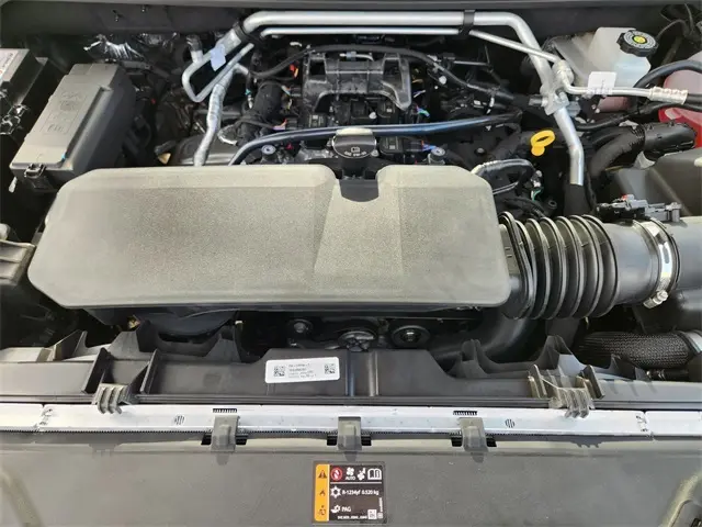 image-19