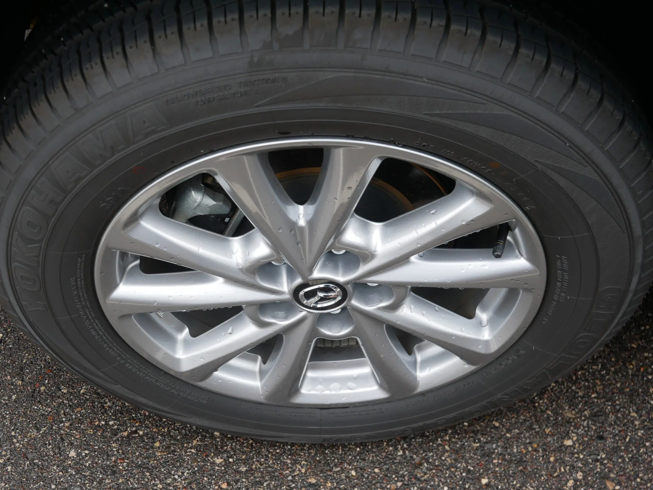 image-4
