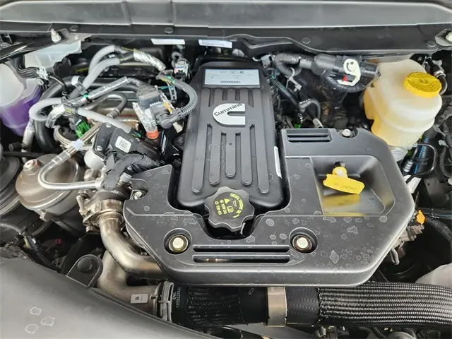 image-19