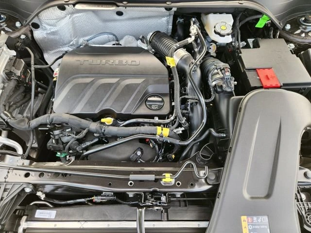 image-19