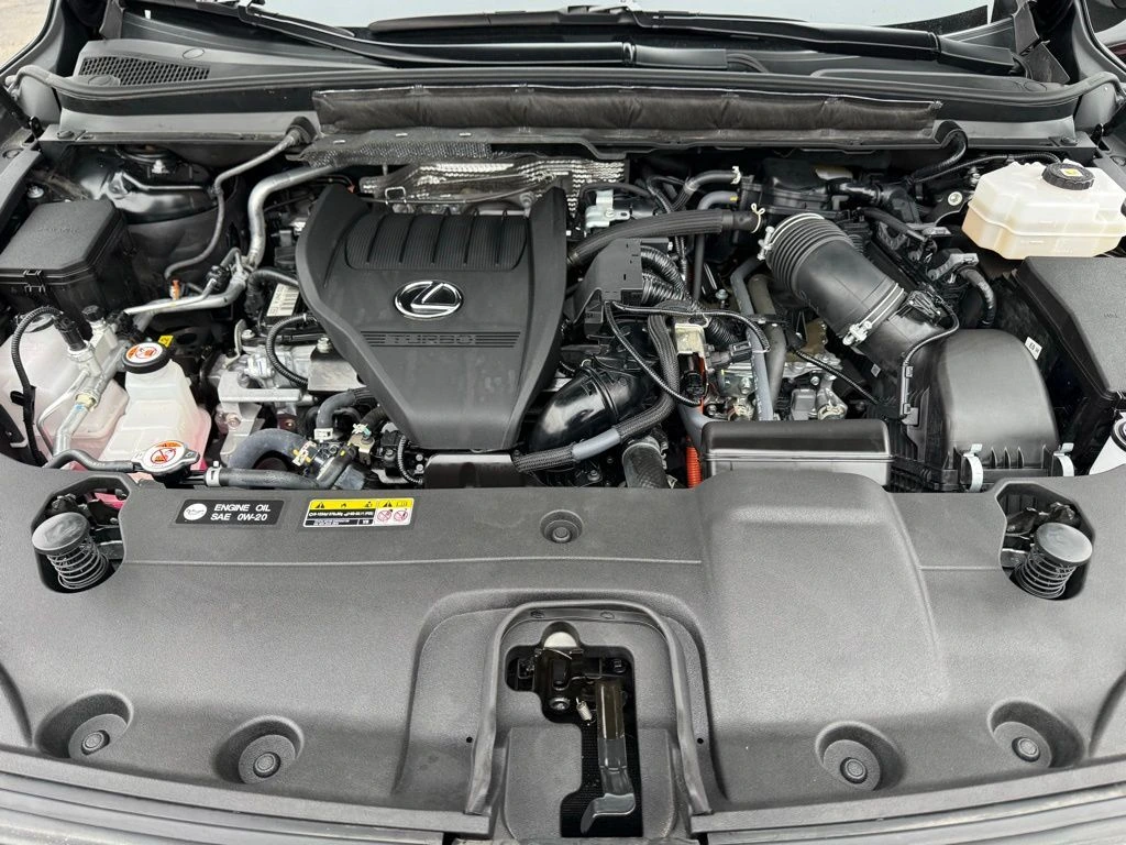 image-19